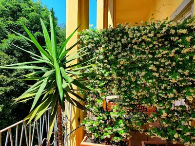 Giardino di Hotel Annalena