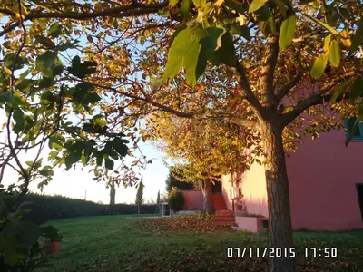 Giardino di Agriturismo Le Caselle