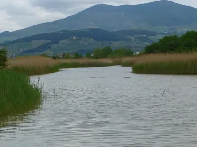 Paesaggio naturale nelle vicinanze dell'hotel