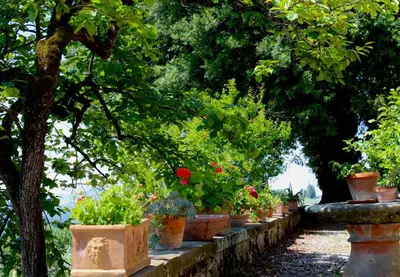 Giardino di Il Salotto di Berentano