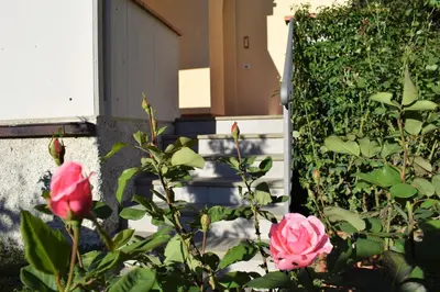 Giardino di La Casa di LiLi