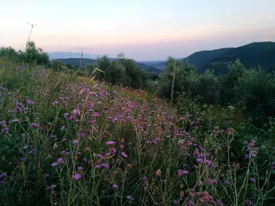 Paesaggio naturale nelle vicinanze dell'appartamento