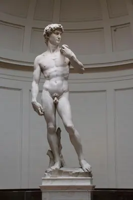 Planimetria di I Fragoli al David Apartments Florence