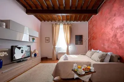 TV o dispositivi per l'intrattenimento presso Santa Rosa Apartment - Oltrarno