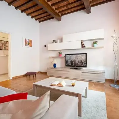 Santa Rosa Apartment - Oltrarno