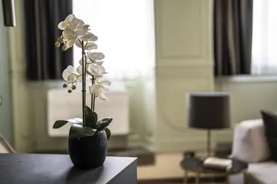 Area soggiorno di MBA Suite - Maggio Boutique Apartment