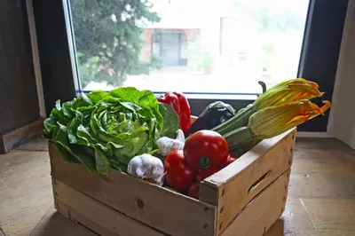 Cibo presso l'agriturismo o nelle vicinanze