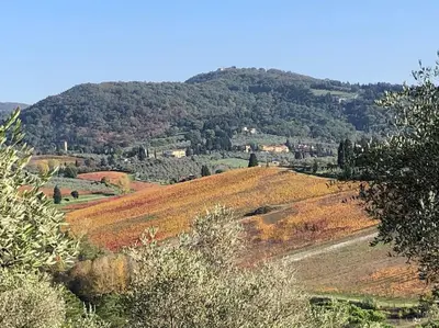 Paesaggio naturale nelle vicinanze della villa