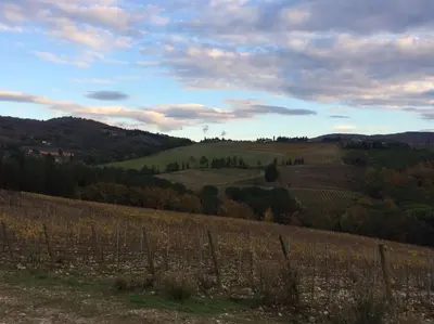 Paesaggio naturale nelle vicinanze della villa