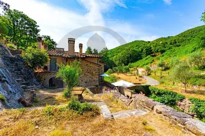 Paesaggio naturale nelle vicinanze della villa