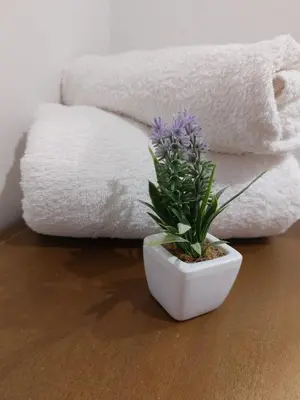Planimetria di Appartamento La Chicca