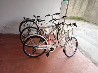 Attività di ciclismo presso l'appartamento o nelle vicinanze