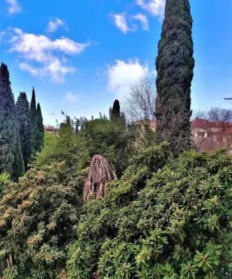 Giardino di Casa Raffaello Careggi