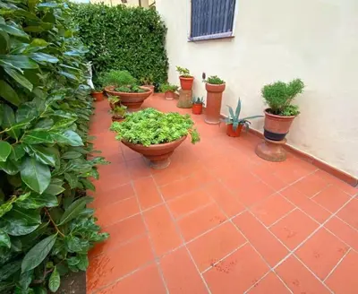 Giardino di Casa Chianti
