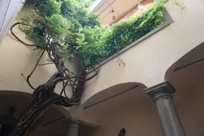 Planimetria di Fiorenza Boutique Apartment