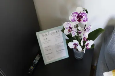 Planimetria di Villa Demidoff Apartment