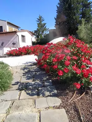 Giardino di Le Macine di San Salvadore