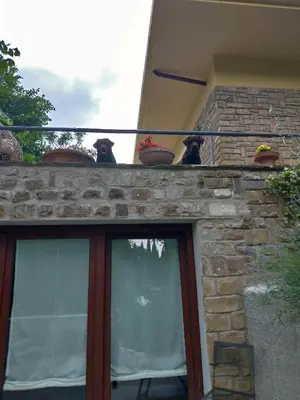 Balcone o terrazza di Poggio Gherardo