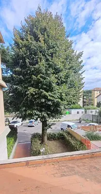 Planimetria di Apartment Il Monte Old Bridge