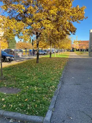 Il quartiere o una zona nella vicinanze dell'appartamento
